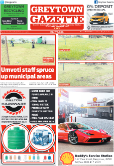 Greytown Gazette 050424