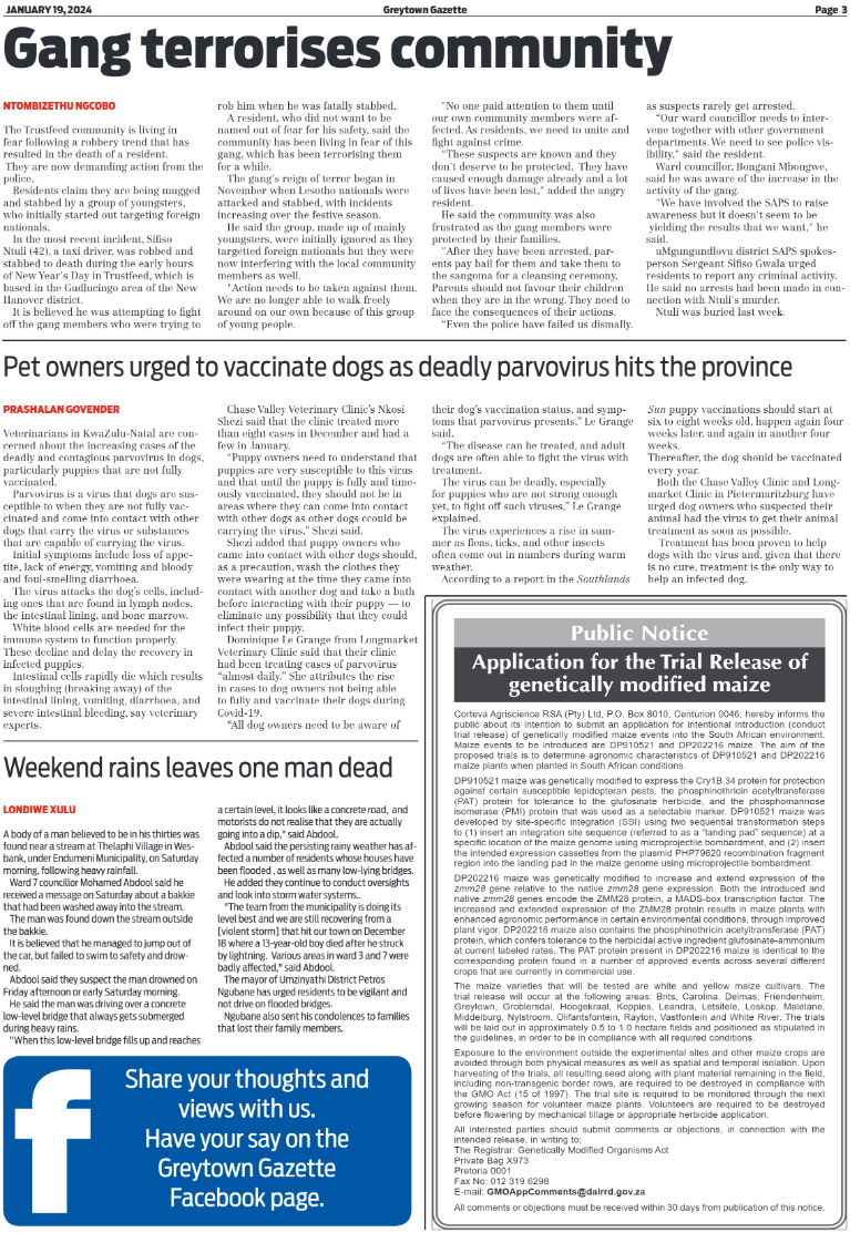 Greytown Gazette 190124 page 3