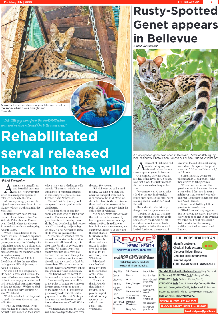 Maritzburg Sun 17.02.23 e-Edition page 3