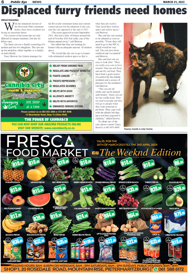 Public Eye 31/03/23 page 6