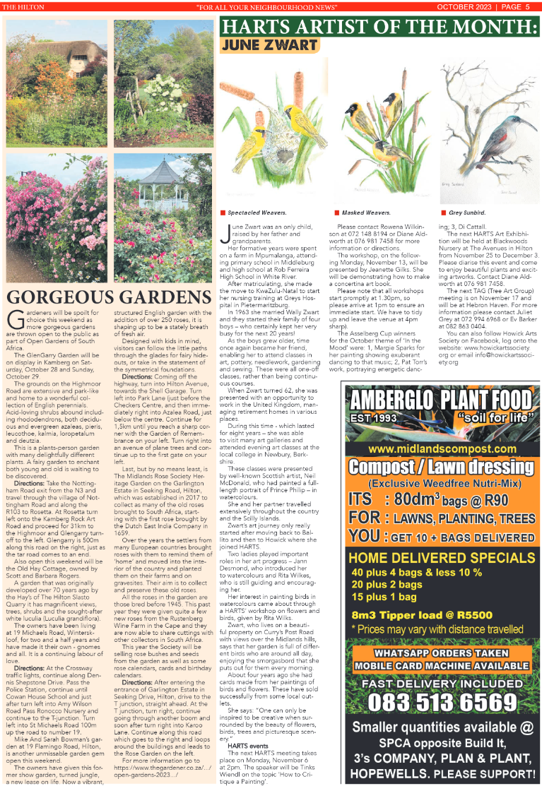 The Hilton 27.10.2023 page 5