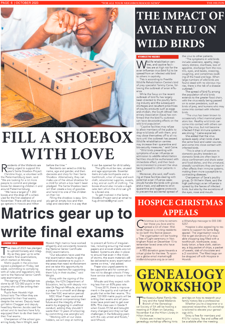 The Hilton 27.10.2023 page 6