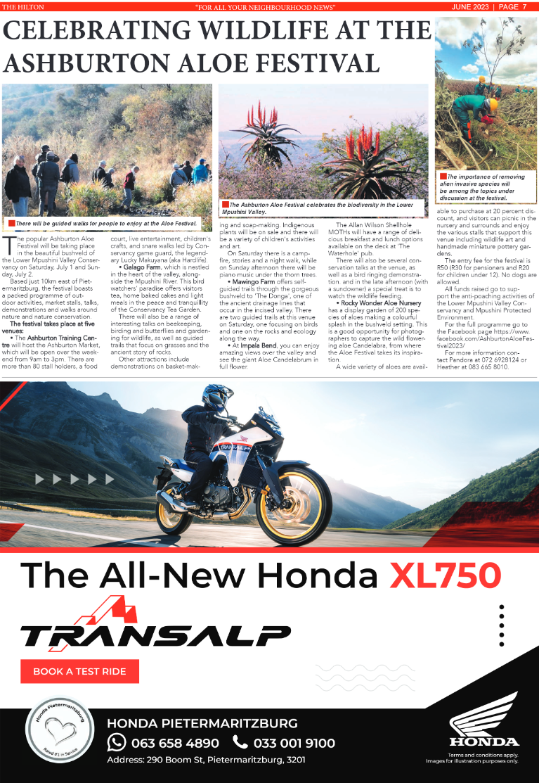 The Hilton June 2023 page 7