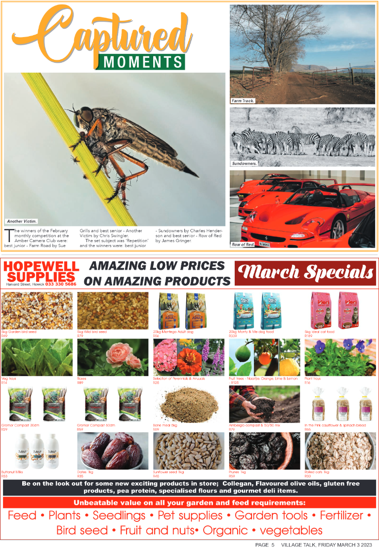 Village Talk 03.03.2023 page 5