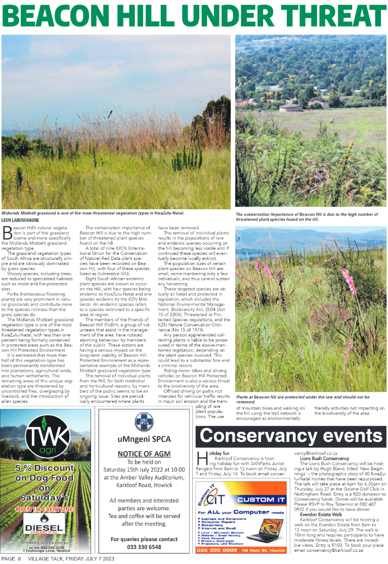 Village Talk 07.07.2023 page 8