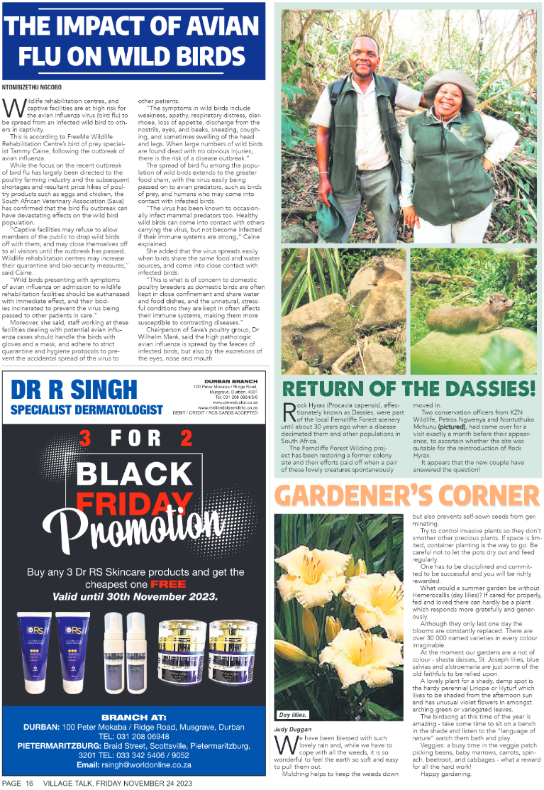 Village Talk 24.11.2023 page 16